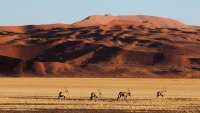 namibia travel guide