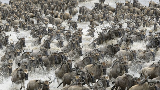 SERENGETI NATIONAL PARK, TANZANIA