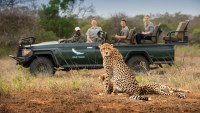 top 10 best national parks and game reserves for a safari in africa