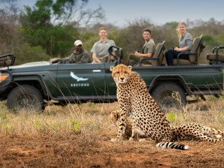 top 10 best national parks and game reserves for a safari in africa